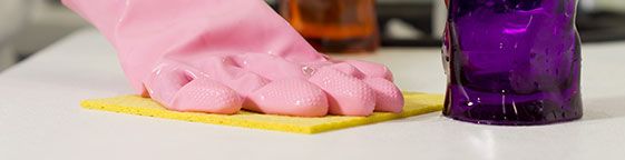 Twickenham Carpet Cleaners Domestic cleaning Twickenham Carpet Cleaners Domestic cleaning