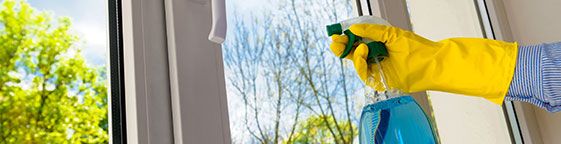 Twickenham Carpet Cleaners Regular cleaning Twickenham Carpet Cleaners Regular cleaning