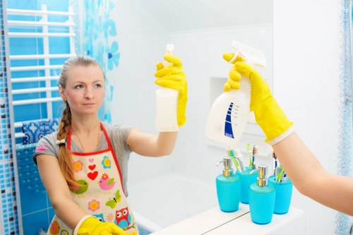 Professional carpet cleaning in a living room