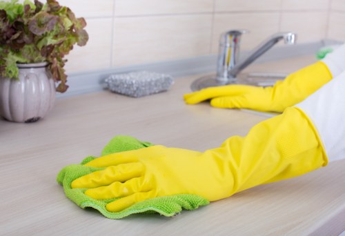 Homeowner cleaning a carpet stain caused by a pet accident
