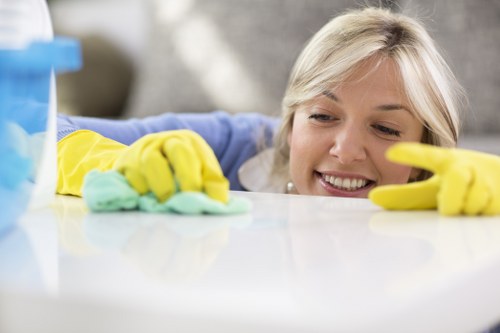 Using an enzymatic cleaner for fresh pet stain odour removal