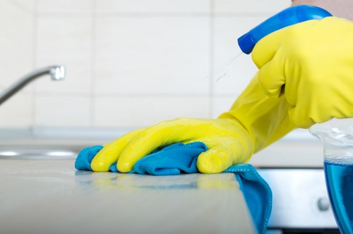 Home stain removal kit with detergent, baking soda, and cloths